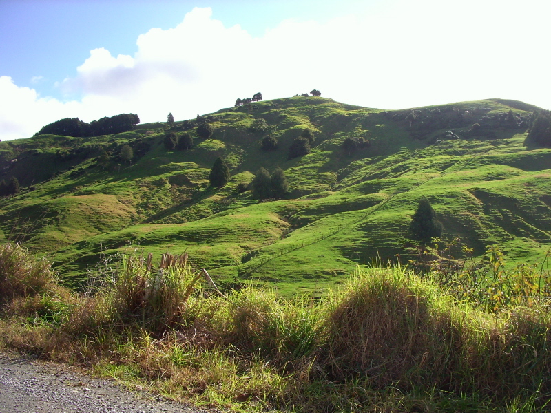 Landschaftsbild