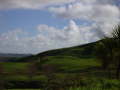 Landschaftsbild