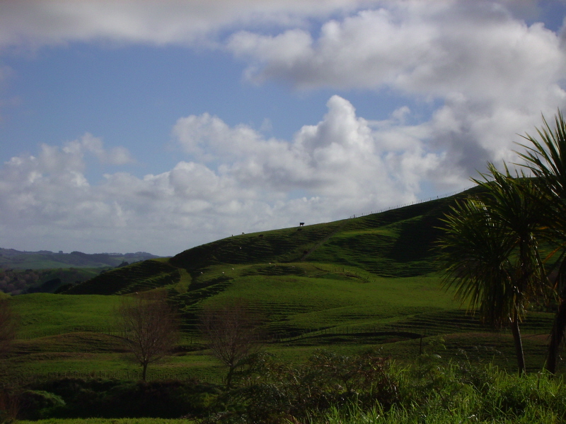 Landschaftsbild