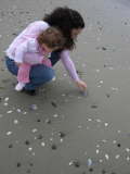 Omaha Beach 