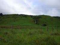 Landschaft mit vielen Schafen