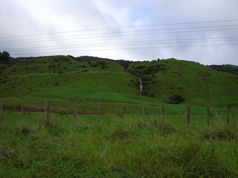 Landschaft mit vielen Schafen