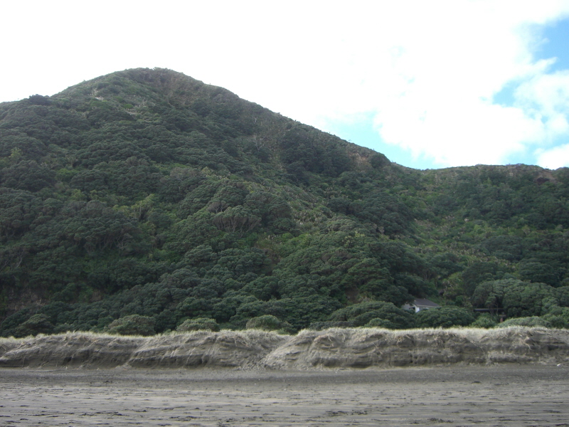 Piha 