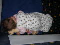 Vivien 