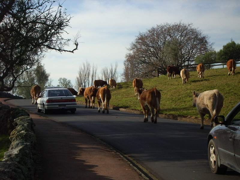 Cornwell Park