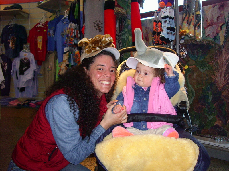 Elefant&L�we