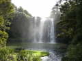 Whangarei Fall 
