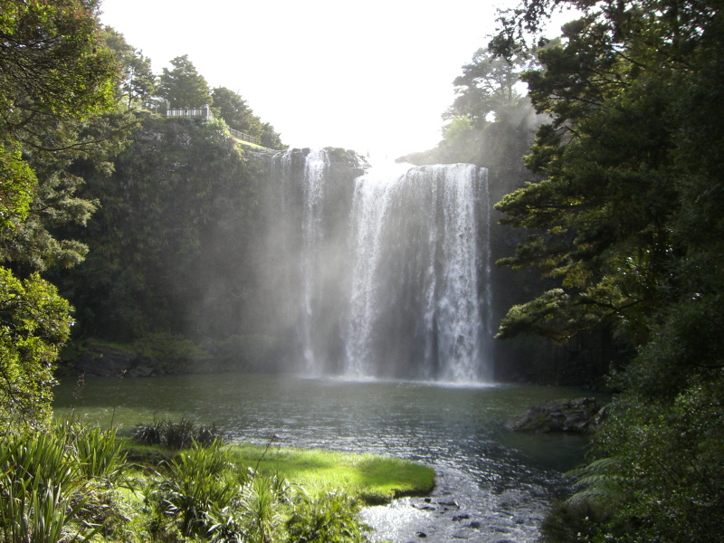 Whangarei Fall 