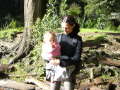 Whangarei Fall