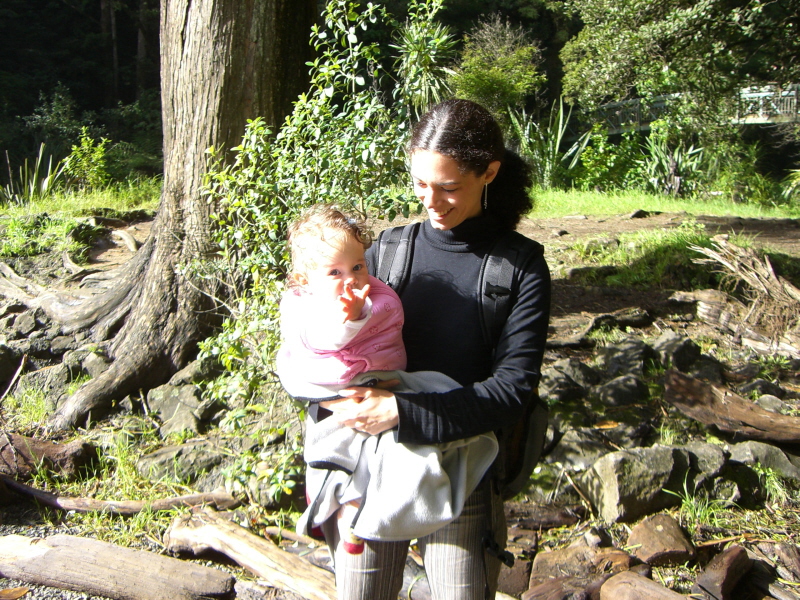 Whangarei Fall
