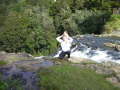 Whangarei Fall 