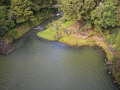Whangarei Fall 