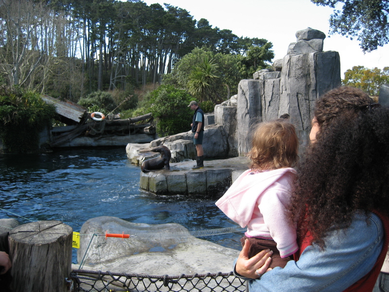 Zoo Auckland 