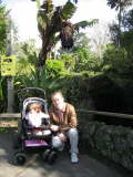 Zoo Auckland 