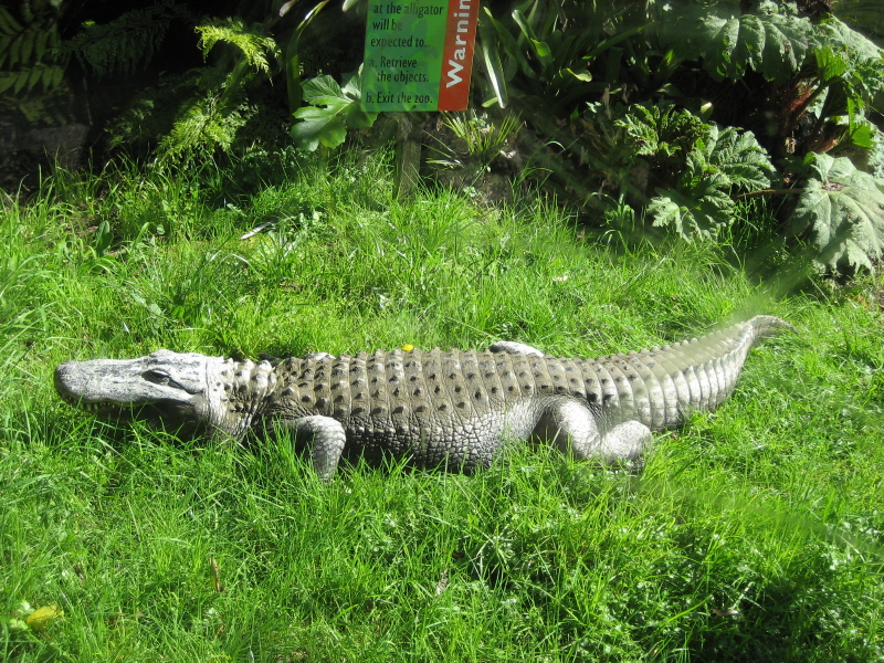Zoo Auckland 