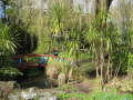 Zoo Auckland 