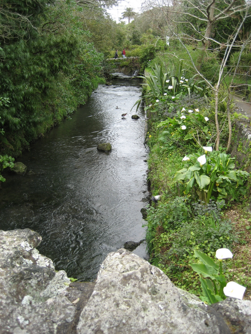Zoo Auckland 