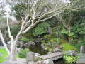 Zoo Auckland 