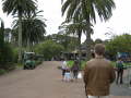 Zoo Auckland 