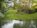 Zoo Auckland 