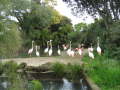 Zoo Auckland 