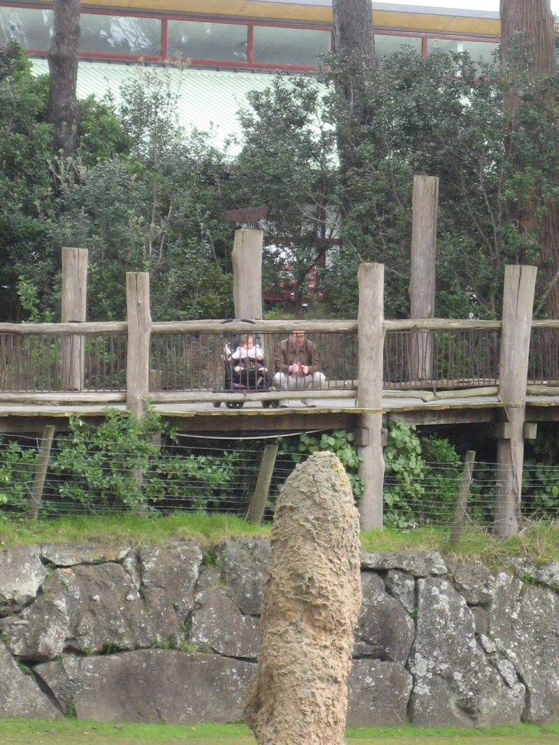 Zoo Auckland 