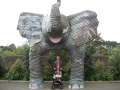 Zoo Auckland 