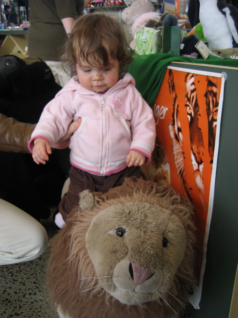 Zoo Auckland 